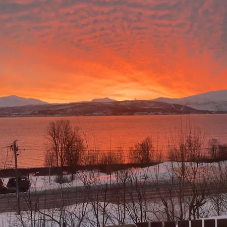 Cozy In Tromso